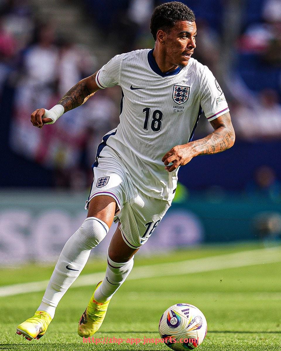 江南体育APP下载-德甲球队队徽、队服、官方图集大汇总